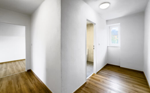 Pronájem bytu 2+1 po rekonstrukci – Brno-Židenice, ul. Skopalíkova