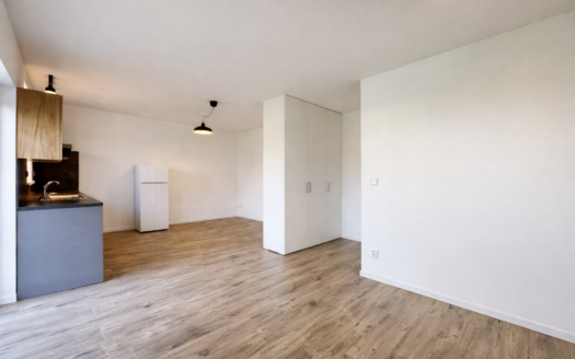 Pronájem bytu 1KK| 30m2 se zahradou – Syrovice