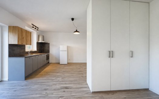 Pronájem bytu 1KK| 30m2 se zahradou – Syrovice