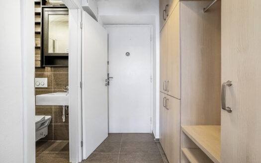 Prodej investičního bytu 1+kk, 22 m², Brno – Veveří (ulice Tučkova – b13)