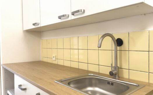 Pronájem bytu 3+1 67 m², Brno – Lesná