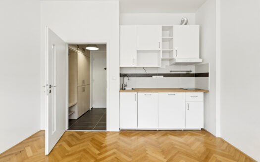 Prodej investičního bytu 1+kk, 22 m², Brno – Veveří (ulice Tučkova – byt vpravo)