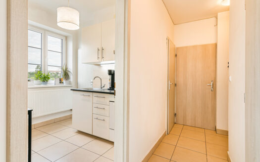Prodej bytu 2+1 47 m², Brno – Ponava