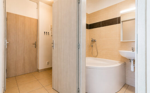 Prodej bytu 2+1 47 m², Brno – Ponava