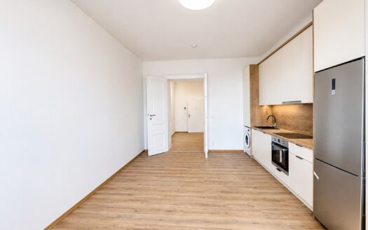 Pronájem bytu 1KK, 33 m2 – Nádražní, Brno (bj. 15)