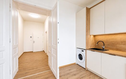 Pronájem bytu 1KK, 33 m2 – Nádražní, Brno (bj. 15)