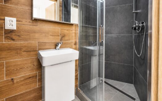 Pronájem bytu 1+1 34 m², Brno – Staré Brno