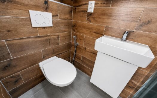 Pronájem bytu 1+1 34 m², Brno – Staré Brno