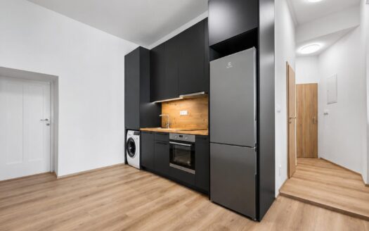 Pronájem bytu 1+1 34 m², Brno – Staré Brno
