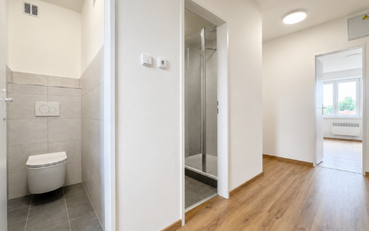 Pronájem bytu 2+1 56 m², Brno – Židenice